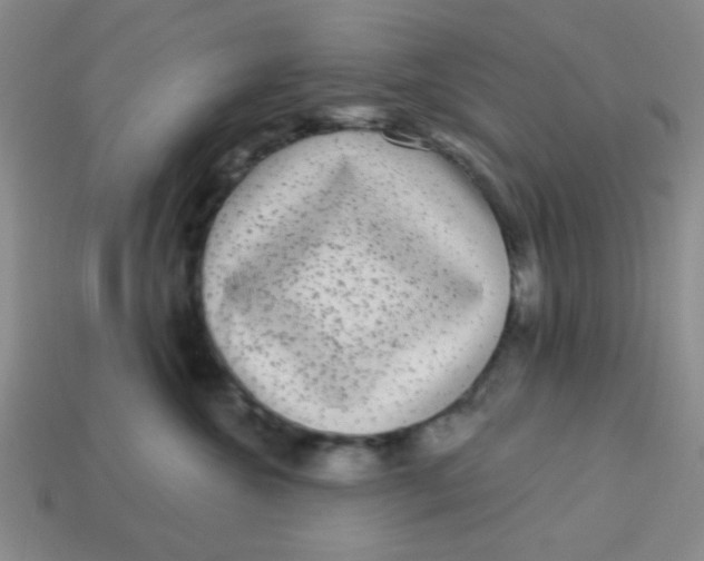 X0000113880572200910151316