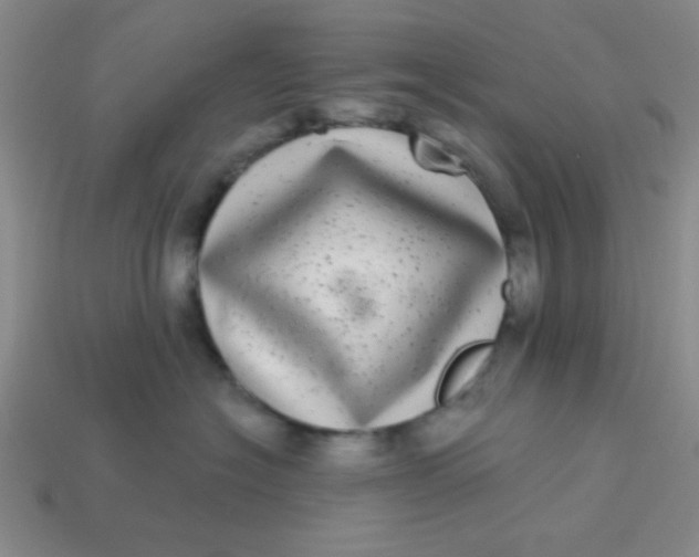 X0000113880574200910151316