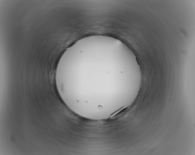 X0000113880576200910151316