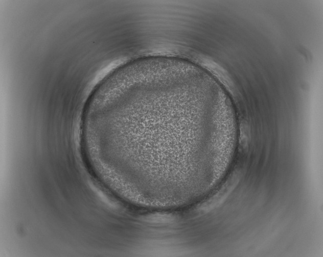 X0000113880578200910151315