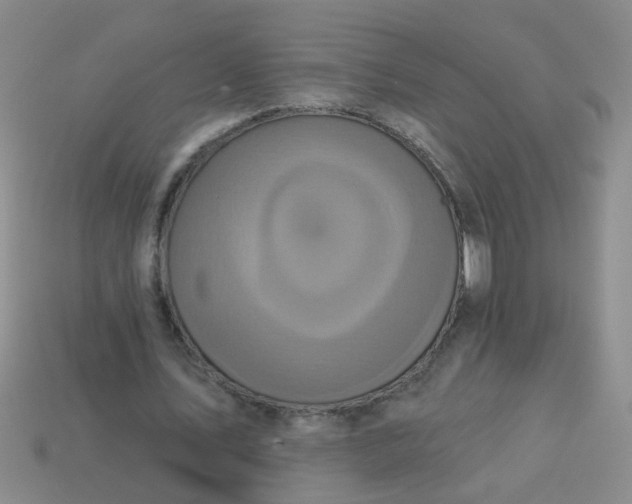 X0000113880579200910151315