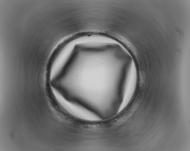 X0000113880580200910151315