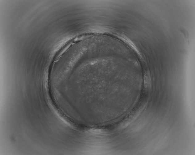 X0000113880581200910151315