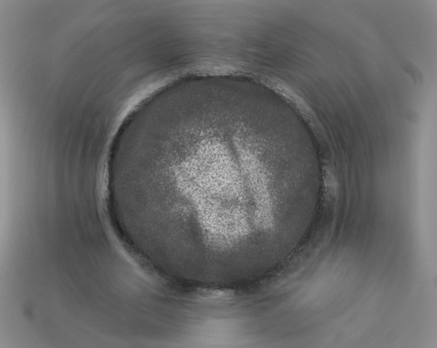 X0000113880582200910151315