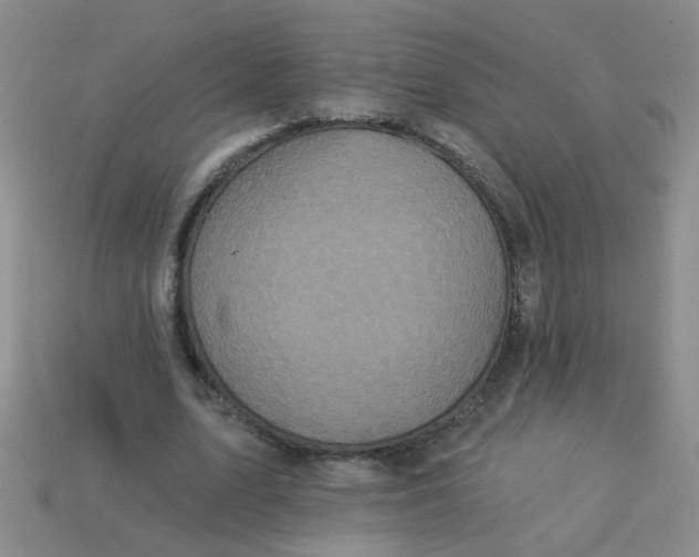 X0000113880583200910151315