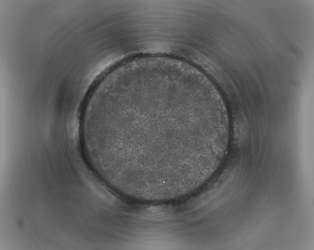 X0000113880584200910151315