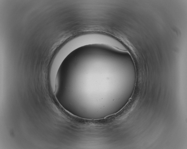 X0000113880585200910151315