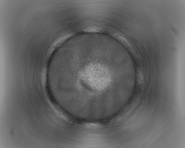 X0000113880586200910151315