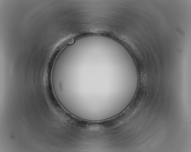 X0000113880587200910151315