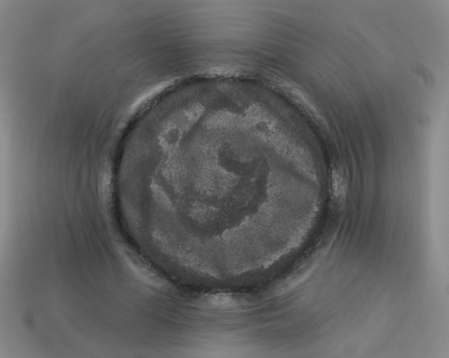 X0000113880588200910151315