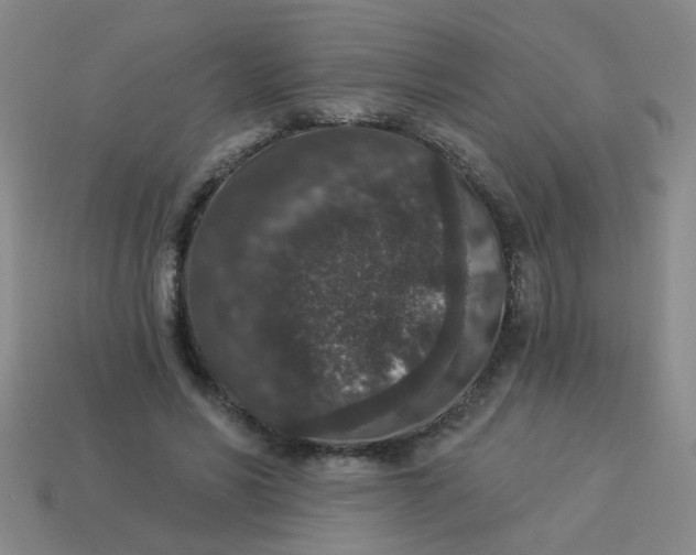 X0000113880590200910151315