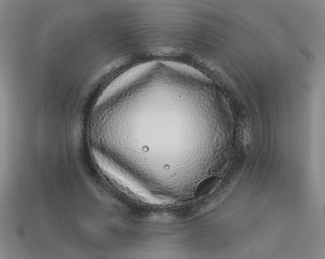 X0000113880591200910151315