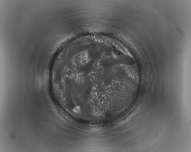 X0000113880592200910151315