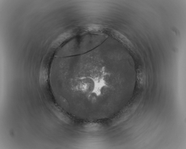 X0000113880593200910151315