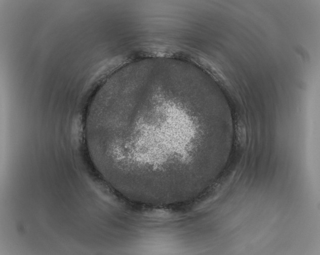 X0000113880594200910151315