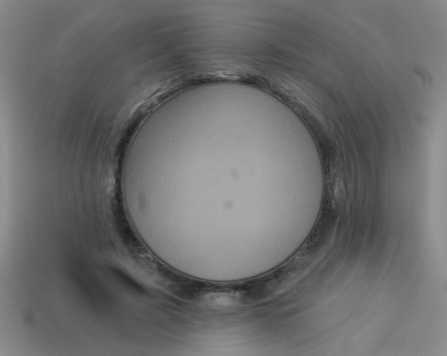 X0000113880595200910151315