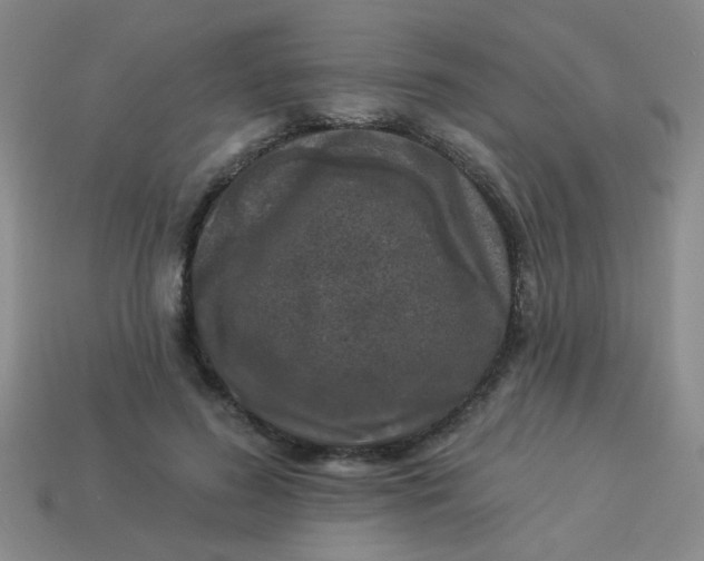 X0000113880596200910151315