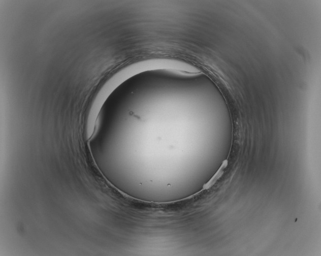 X0000113880597200910151315