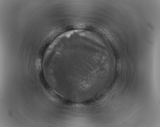 X0000113880598200910151315