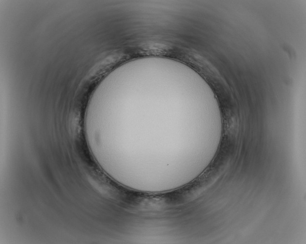 X0000113880599200910151315