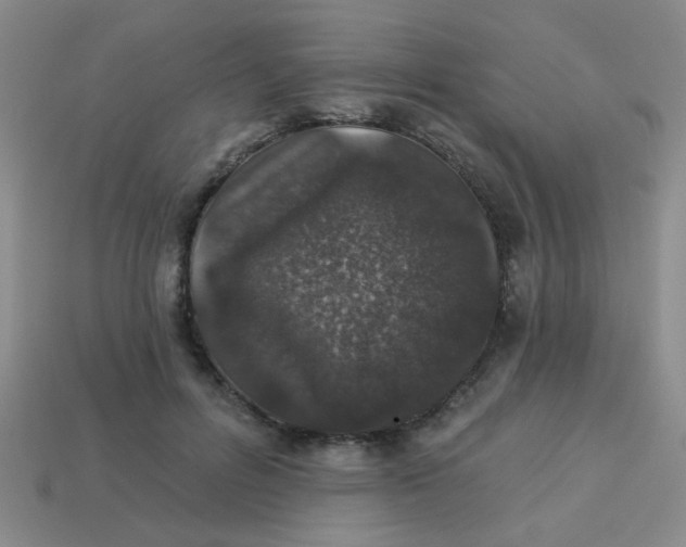 X0000113880600200910151315