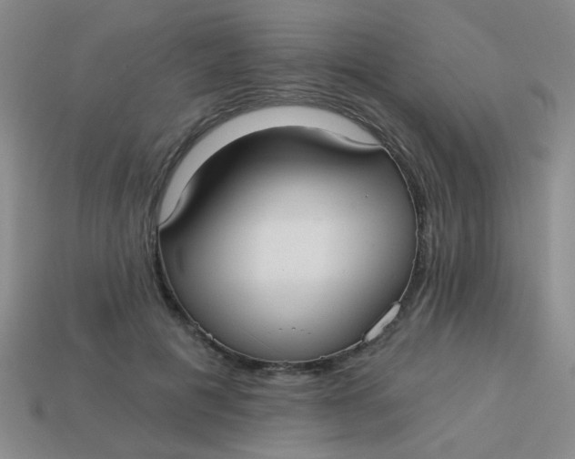 X0000113880601200910151315