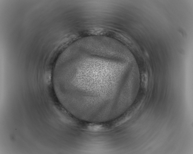 X0000113880602200910151315