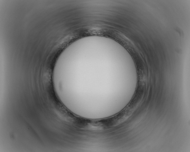 X0000113880603200910151315