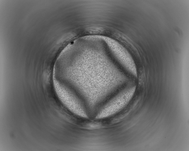 X0000113880604200910151315