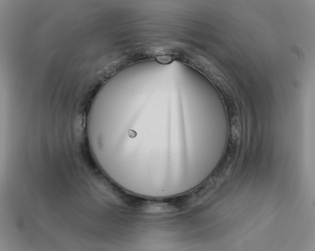 X0000113880605200910151315