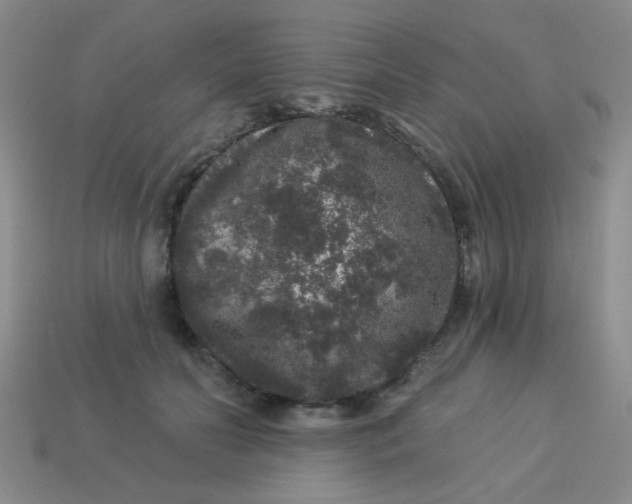 X0000113880606200910151315