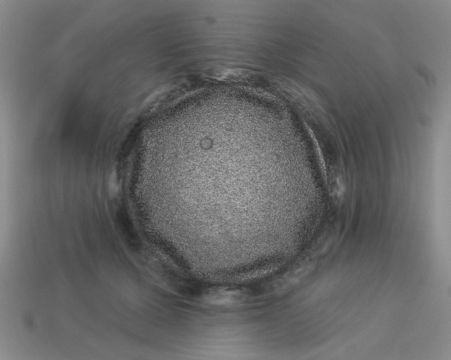 X0000113880607200910151314