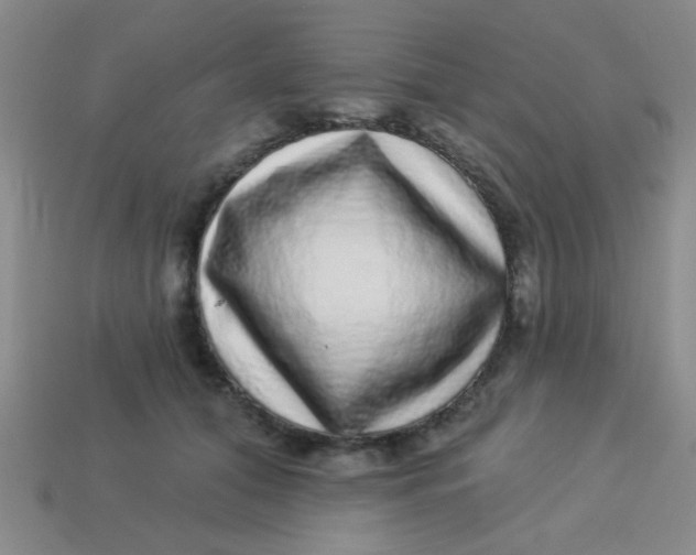 X0000113880608200910151314