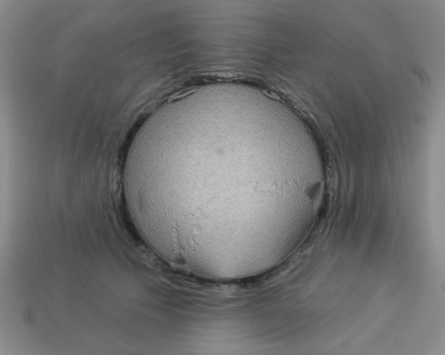 X0000113880609200910151314