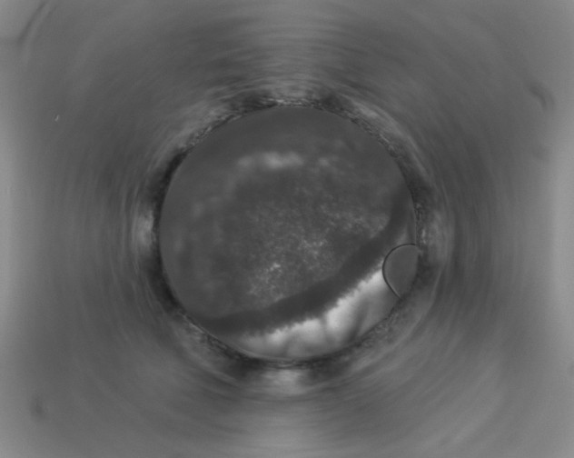 X0000113880610200910151314