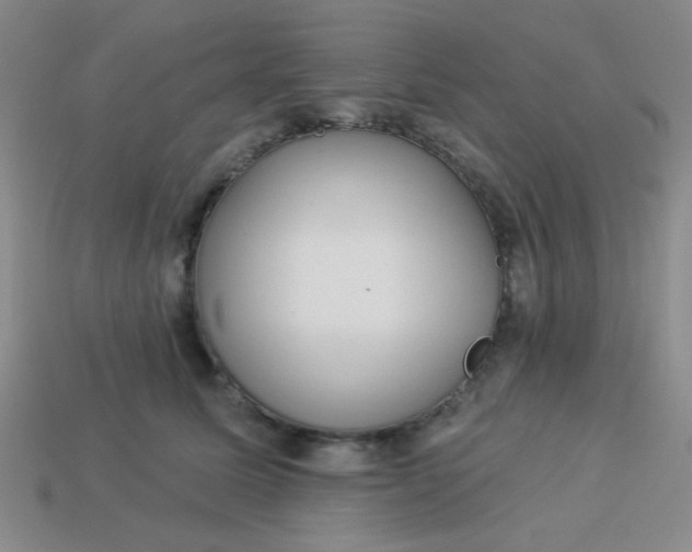 X0000113880611200910151314