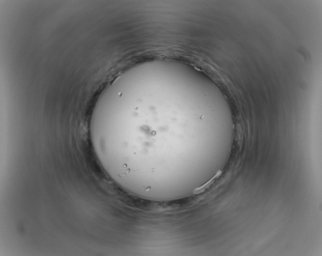 X0000113880613200910151314