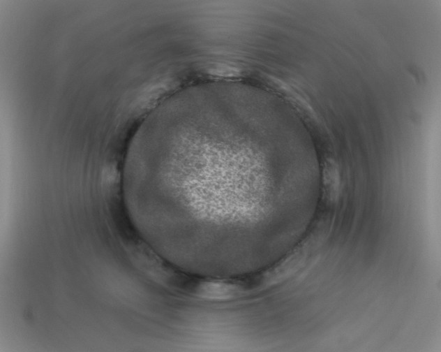 X0000113880614200910151314