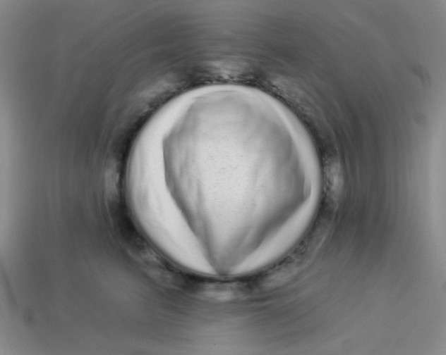 X0000113880615200910151314