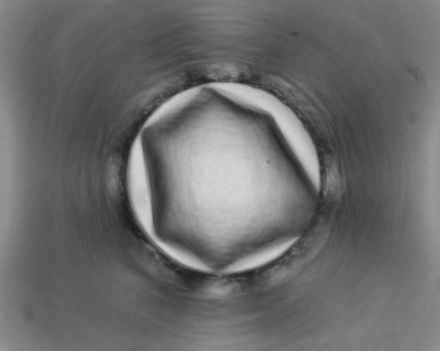 X0000113880616200910151314