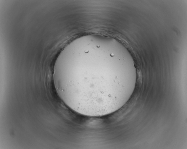 X0000113880617200910151314