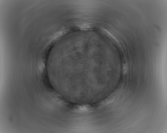 X0000113880618200910151314