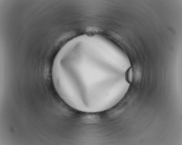 X0000113880619200910151314