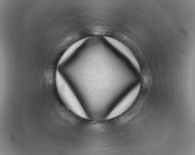 X0000113880620200910151314