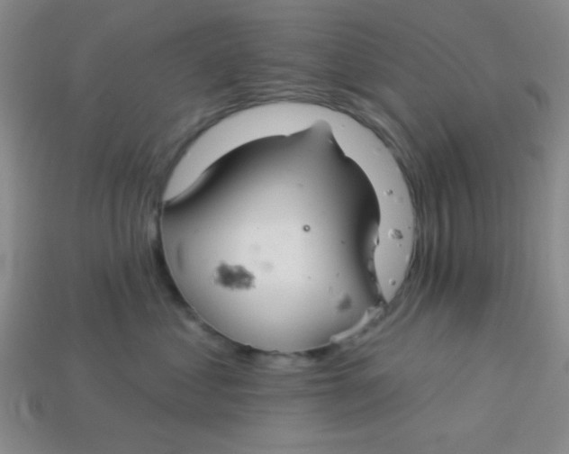 X0000113880621200910151314