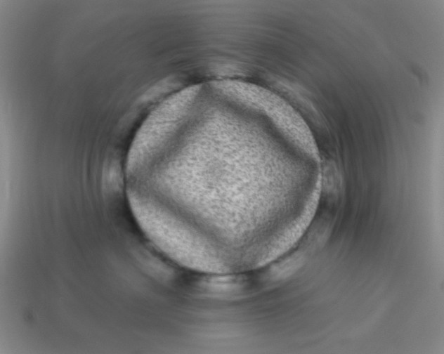 X0000113880622200910151314