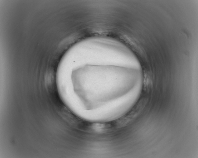 X0000113880623200910151314