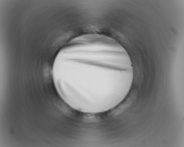 X0000113880624200910151314