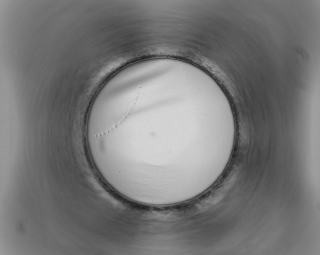 X0000113880625200910151314