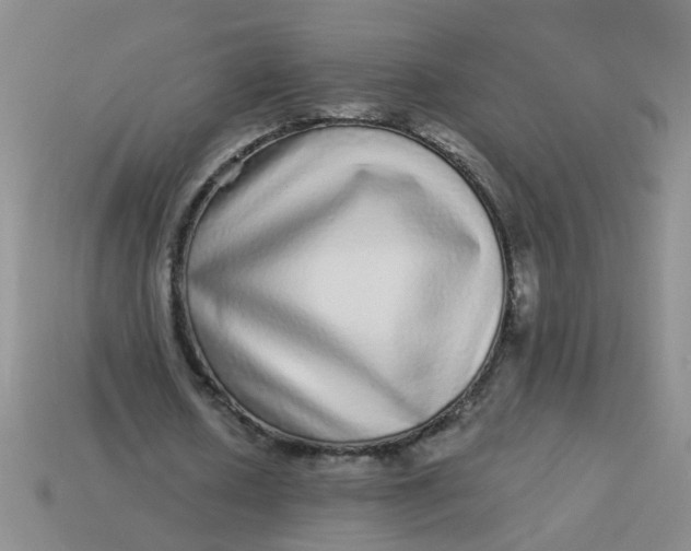 X0000113880626200910151314